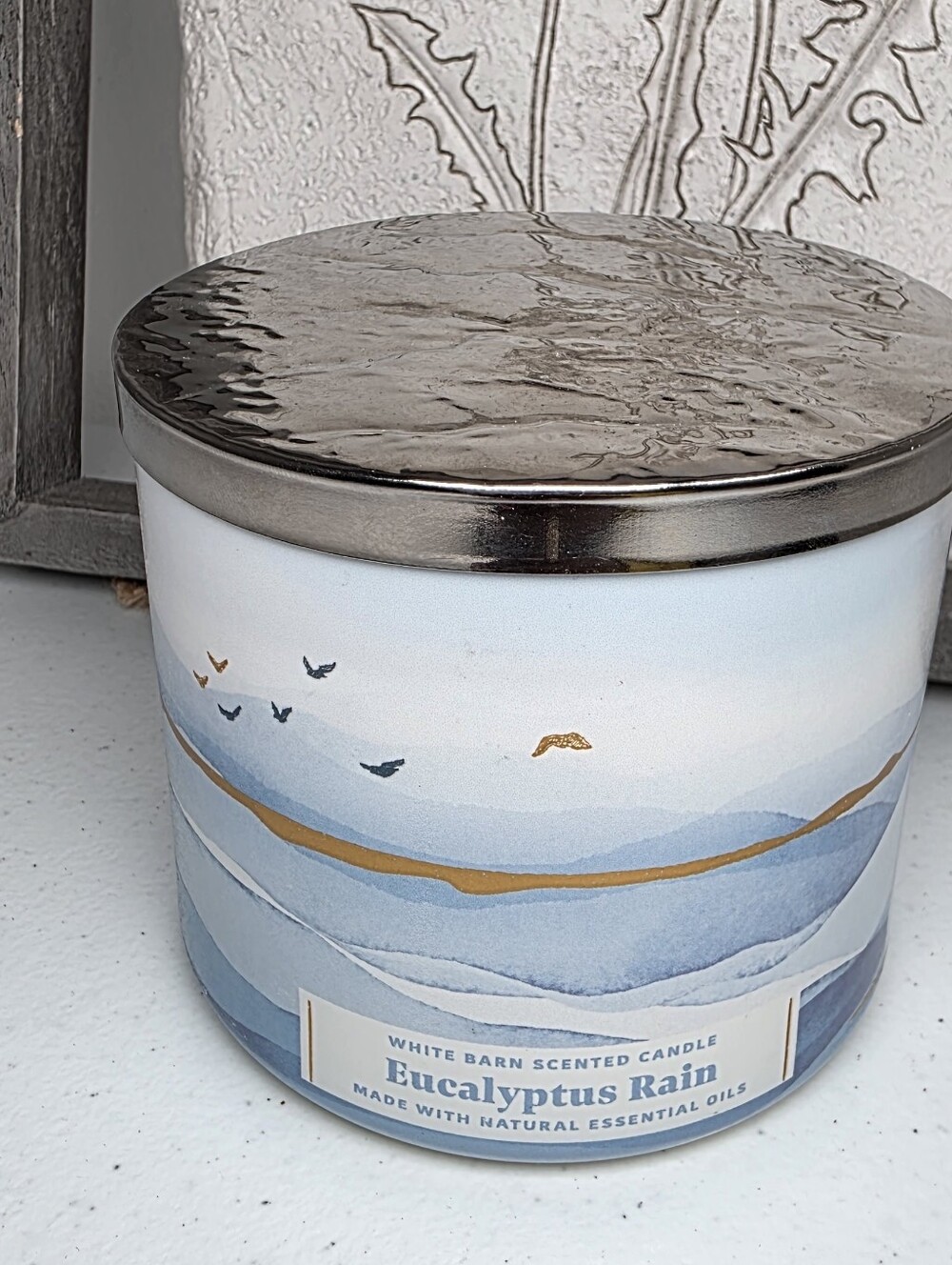 White Barn Eucalyptus Rain Candle | NWOT